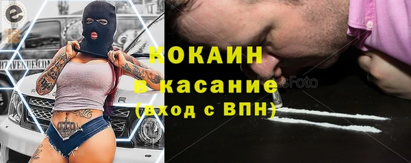 мяу мяу мука Баксан