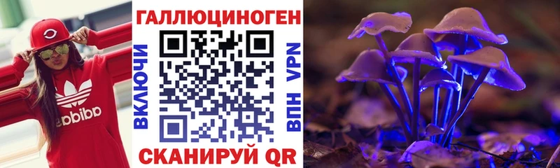 Галлюциногенные грибы Psilocybe  площадка официальный сайт  Курчалой 
